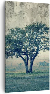 Produktbild von Bild auf Leinwand - Leinwandbild - Baum Natur Feld - 55x100cm - Wand Bild - Wanddeko - Wandbilder - Leinwanddruck - Bilder - Kunstdruck - Wanddekoration - Leinwand bilder - Wandkunst - PA55x100-3627