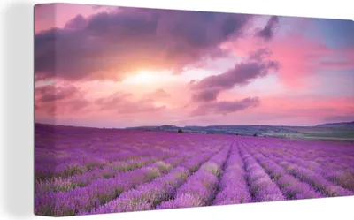 Obrázek produktu pro OneMillionCanvasses® Malba na plátně Nástěnná malba na plátně - Levandule - Fialová - Mraky - Květiny - 40x20cm