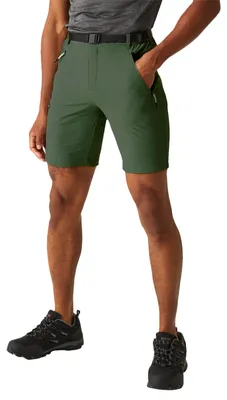 Immagine prodotto di Pantaloni corti Regatta Xert Stretch III, colore verde, taglia 50 / vestibilità regular, uomo, colore verde, taglia 50