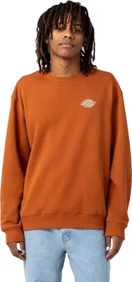 Immagine prodotto di Felpa Dickies DK0A4Y3BIEX1 da Uomo