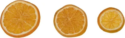 Three dried orange slices on a white background.