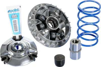 Immagine prodotto di Variatore Polini Hi-Speed Honda SH 125 Scoopy ab 2013