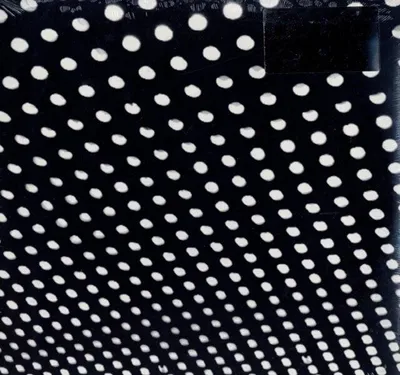 Image de Beach House - Bloom (45 tours) (2 LP)