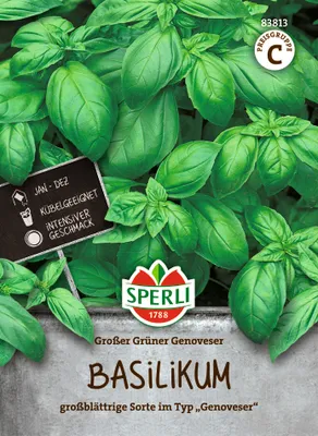 Produktbild von SPERLI Basilikumsamen Grosses Grünes Ocimum basilicum 110 Pflanzen