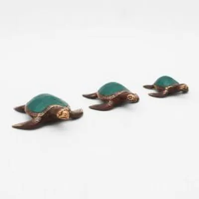 Imagen del producto de Tortugas Marinas - Set de 3