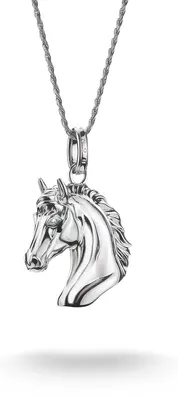 Produktbild von Thomas Sabo - KE2342-643-21-L50V - Halskette - Damen - ELYNDRA - 50 cm