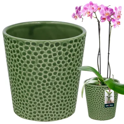 Produktbild von KOTARBAU® Blumentopf Grün Keramik glasiert  ⌀ 9,5 cm Höhe: 11 cm Orchideentopf Keramik Blumentöpfe Keramik Blumentopf Keramik Pflanztopf Blumentopf modern Blumentöpfe Zimmerpflanzen