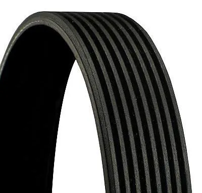 Produktbild von CONTINENTAL CTAM Zahnriemen 8PK2642