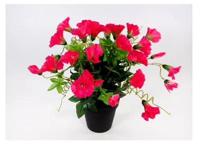 Produktbild von Petunienbusch 32cm im Topf künstliche Pflanzen Petunie Kunstblumen Kunstpflanzen (Pink)