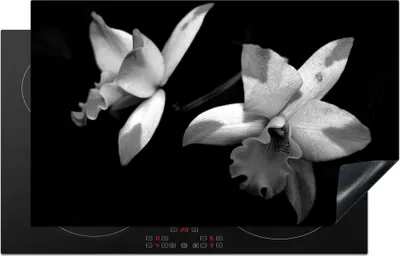 Produktbild von KitchenYeah© Herdabdeckplatte Zwei Orchideenblüten - schwarz und weiß , 85x52cm, Küche Deko, Glaskeramikkochfeld Herdabdeckung, Abdeckplatte fùr Kochfeld