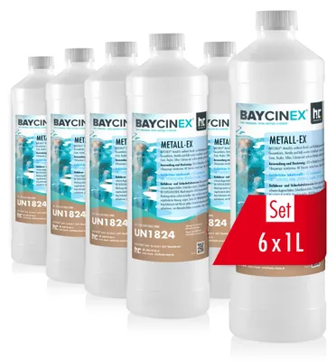 Image de 6x 1 L BAYCINEX® Metall-Ex in handlicher Flasche