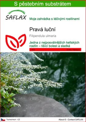 Obrázek produktu pro SAFLAX - Pravá luční - Filipendula ulmaria - 500 Semena - S pěstebním substrátem bez klíčků