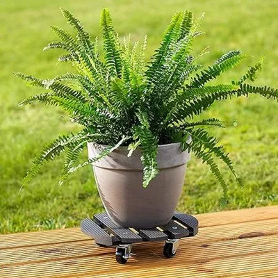 Produktbild von Wetterfeste Pflanzenroller 300mm 60kg Anthrazit PP Räder