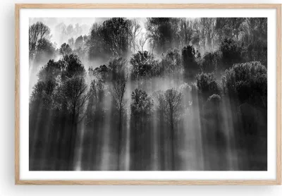 Produktbild von Gerahmtes Poster - Rahmen in heller Eiche - Bäume drinnen Nebel - 91,5x61 cm - Wand Bild - Wanddeko - Wandbilder - Kunstposter - Wandposter - Bilderrahmen - Bilder - Kunstdruck - P2NAA91x61-4889
