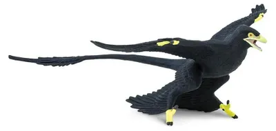 Produktbild von Safari Ltd Microraptor-figur Grün From 3 Years Kinder Grün From 3 Years