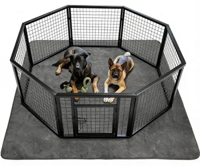 Wasbare Puppy-Unterlagen, 2 Stück, 100 x 70 cm, Hundedecke