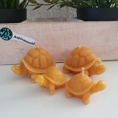 Immagine prodotto di Candele a forma di tartaruga, realizzate in cera d'api, set da 4 pezzi: due grandi e due piccole