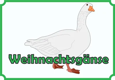 Produktbild von Weihnachtsgans Verkaufsschild Schild A0 (841x1189mm)