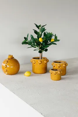 Image de Pot de fleurs marron-crème, diamètre de 20 cm, hauteur de 16 cm, pour plantes
