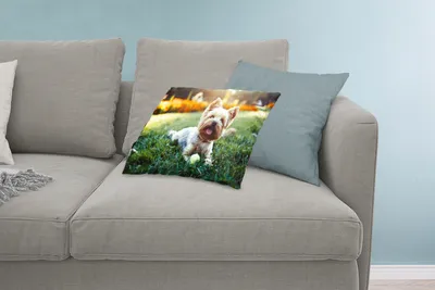 Produktbild von MuchoWow® Zierkissen Sofakissen Wohnzimmer Dekokissen 60x40 cm Yorkshire Terrier im Gras liegend - Kopfkissen - Polster mit Foto