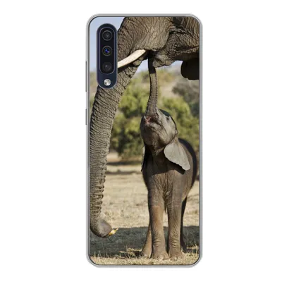 Produktbild von MuchoWow® Handyhülle Schutzhülle Hülle für Samsung Galaxy A50 Elefant - Tiere - Gras - Natur Silikon Softcase Handy Hülle - Mobiltelefonhülle