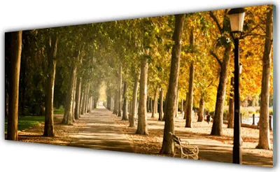 Produktbild von Acrylglasbilder 125x50 Wandbild Druck Parkallee Landschaft