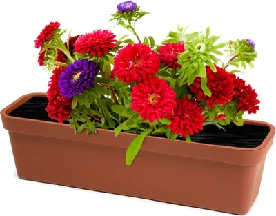 Obrázok produktu pre Balkónový kvetináč LOBELIA 60 cm so záhradným stojanom Brickgreen