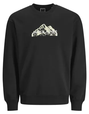 Zdjęcie produktu dla Jack&Jones JUNIOR Bluza z logo Jcomountain, krótki rękaw, rozmiar M