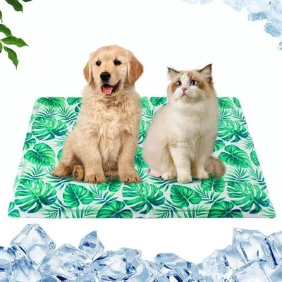 Produktbild von Famanu Kühlmatte für Hunde und Katzen - selbstkühlende Gelmatte, 50 x 65 cm