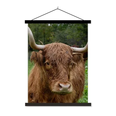 Produktbild von MuchoWow® Textilposter Schottische Highlander - Tiere - Gras 40x53 cm mit schwarzem Rahmen - Abbildung