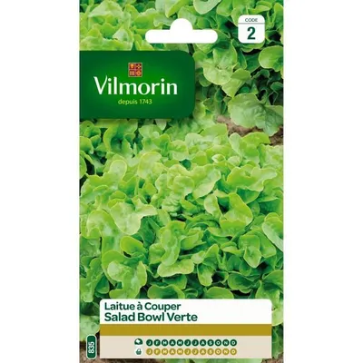 Obrázek produktu pro VILMORIN Salátová mísa na krájení salátu, zelená