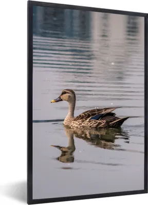 Produktbild von MuchoWow® Gerahmtes Poster Ente - Wasser - Vogel - Braun 60x90 cm - Poster mit Schwarzem Bilderrahmen Wandposter Rahmen Foto Bilder - Kunst