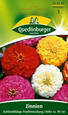 Produktbild von Zinnie, Dahlienblütige Prachtmischung