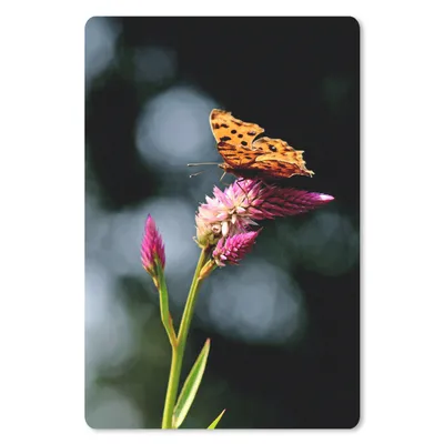 Produktbild von MuchoWow® Mauspad Mousepad Schmetterling - Blumen - Insekten 18x27 cm - Mousepads - Maus Mat - Pad - Mausunterlage