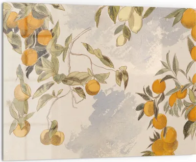 Produktbild von DEQORI Küchenrückwand Glas 80x60 cm 'Orangenpracht' Spritzschutz Bad Rückwand Küche