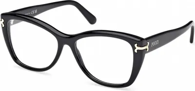 Produktbild von Pucci EP5257 Shiny black 54/15/140 Damen Brillen