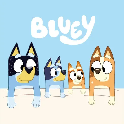 Produktbild von Bluey Handtuch 30x30cm – Weiches Gesichtstuch für Kids