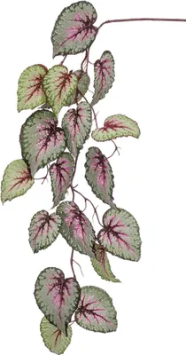 Produktbild von artplants.de Kunstzweig Blattbegonien Zweig Meira, grün-rosa, 110cm - Deko Buntnessel