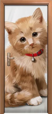 Produktbild von Türposter 80x200 cm Türaufkleber Türtapete Türfolie Klebefolie niedliche Tiere Katze Hund