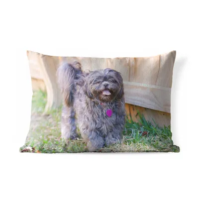 Produktbild von MuchoWow® Outdoor Kissen - Ein schwarzer Shih Tzubi Hund am Zaun - 60x40 cm - Wetterfest - Lounge Kissen - Zierkissen - Kissen für Innenräume