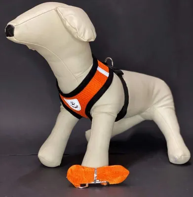Obrázok produktu pre REFLEX Obojky pre psov s vodítkom M - oranžové
