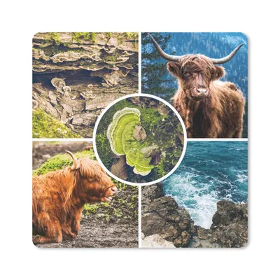 Produktbild von MuchoWow® Mauspad Mousepad Schottische Highlander - Tiere - Natur 20x20 cm - Mousepads - Maus Mat - Pad - Mausunterlage - Desk Mat - Bureauartikeln