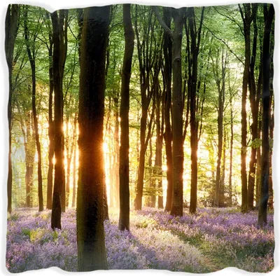Produktbild von Wallario Premium Kissen, weiche Oberfläche, mit Motiv Blaue Hasenglöckchen im Wald mit Sonnenstrahlen, Größe: 30 x 30 cm, mit weißer Rückseite