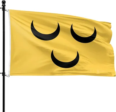 Productafbeelding van Vlag van Voorschoten, polyester, 90 x 150 cm, geschikt voor vlaggenmast