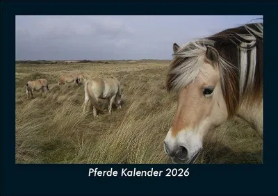 Produktbild von Pferde Kalender 2026 Fotokalender DIN A5