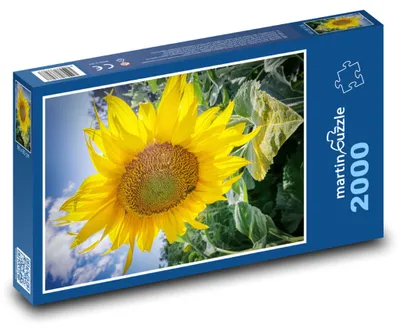 Obrázok produktu pre martinpuzzle - Puzzle 2000 - Kvetúce slnecnice