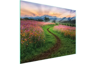 Produktbild von Schneidebrett aus Glas, 52 x 40 cm
