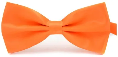 Productafbeelding van Oranje vlinderslint - oranje lint - lint - themafeest - Europees kampioenschap - Wereldkampioenschap - 5 stuks - Oranje cheerleading - Oranje - Oranje lint - strik - strik - elegante strik - Nationaal kampioenschap