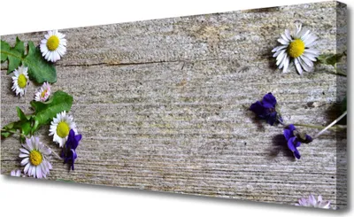 Produktbild von Tulup Leinwand-Bilder 125x50 Wandbild Canvas Kunstdruck Gänseblümchen Pflanzen