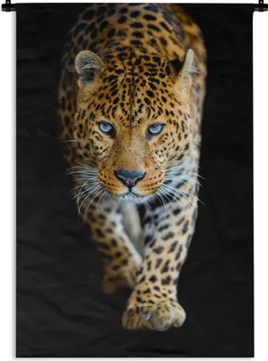 Produktbild von MuchoWow® Wandteppich Wandbehang Leopard - Tiere - Porträt - Wildtiere - Schwarz 60x90 cm Tapisserie Dekoration Wandtuch - Foto-Teppich - Abwaschbar